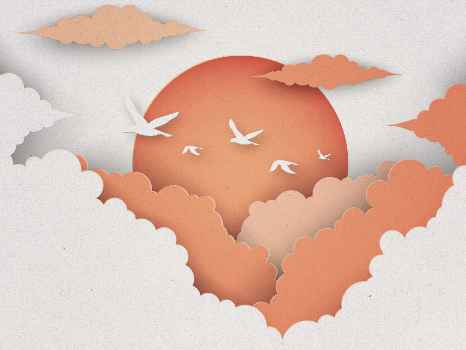 birds clouds sun