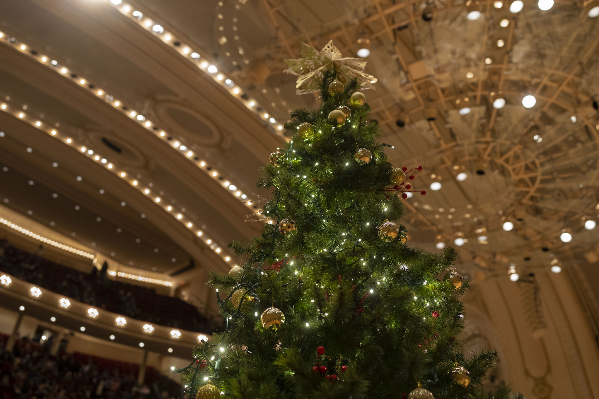 Orchestra Hall interior at Christmas