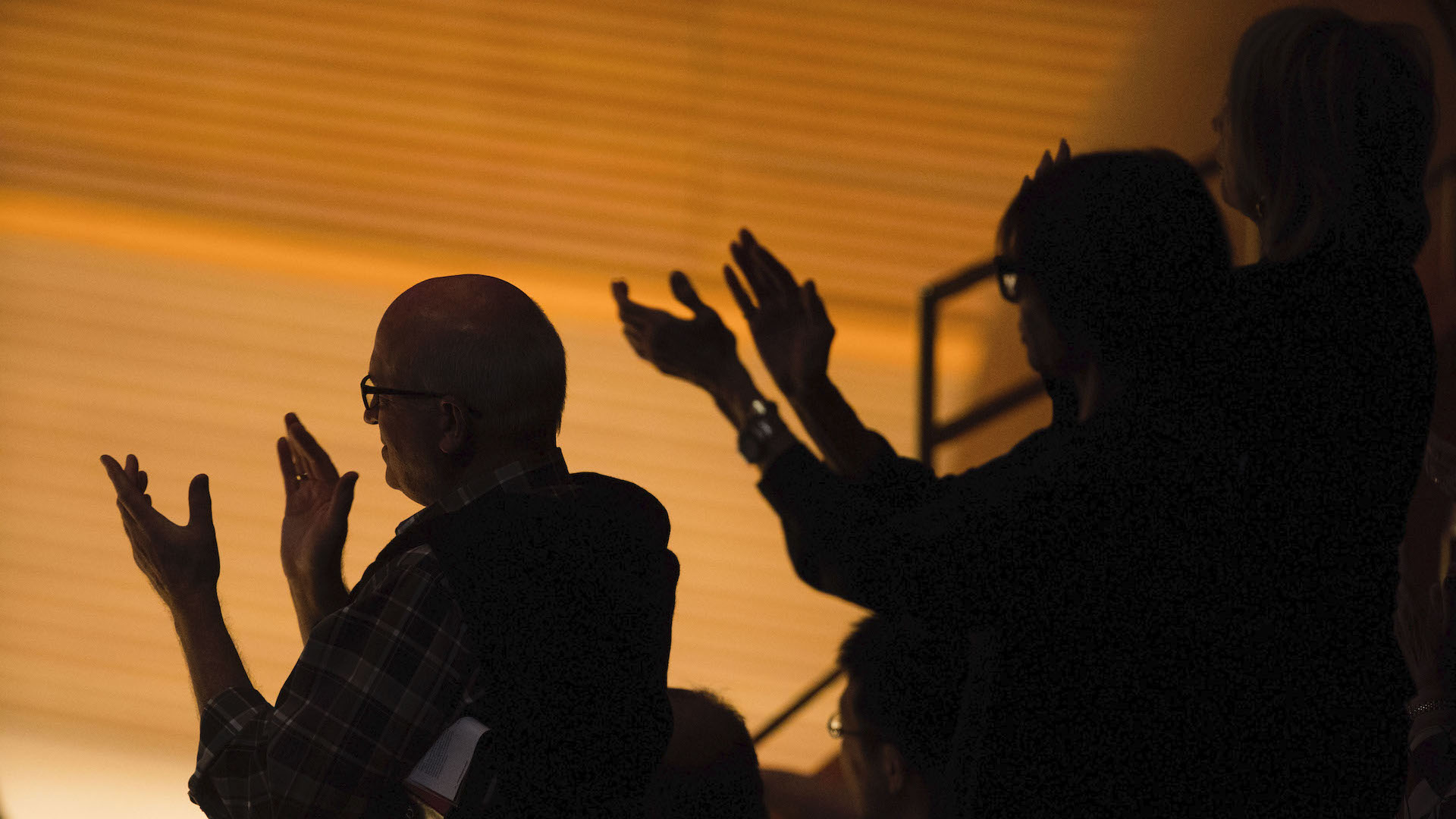 Audience in silhouette