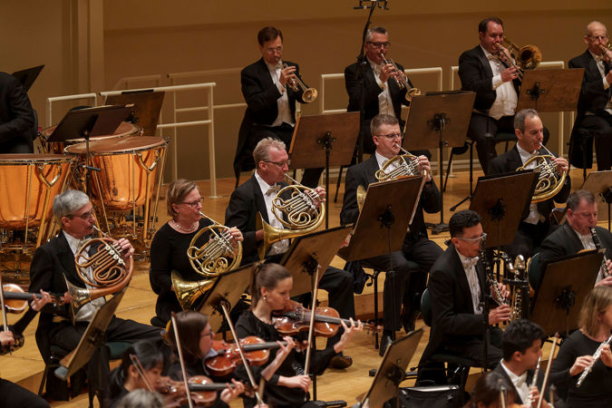 horns playing